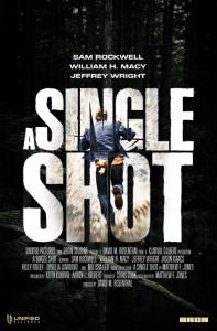    - A Single Shot [2013]  